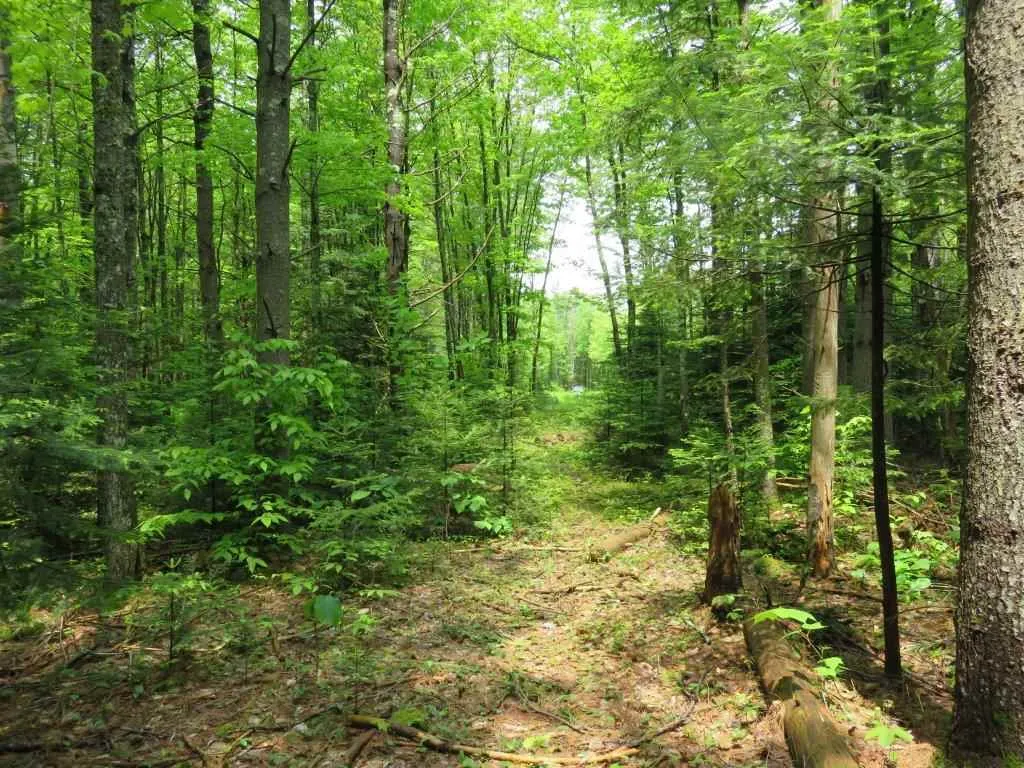 101 Wolfeboro Road Hanover NH 03755