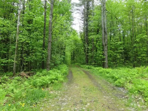 101 Wolfeboro Road Hanover NH 03755