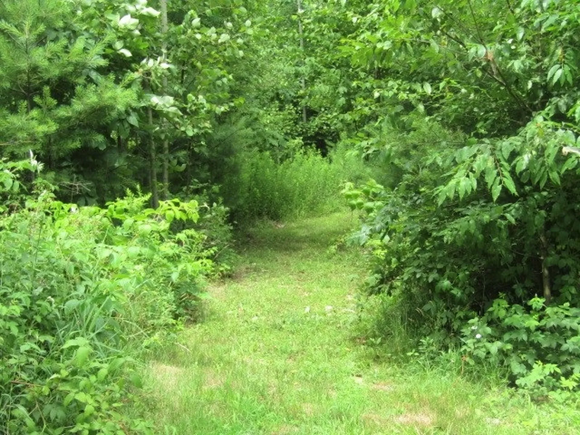 50 Demeritt Avenue Lee NH 03861