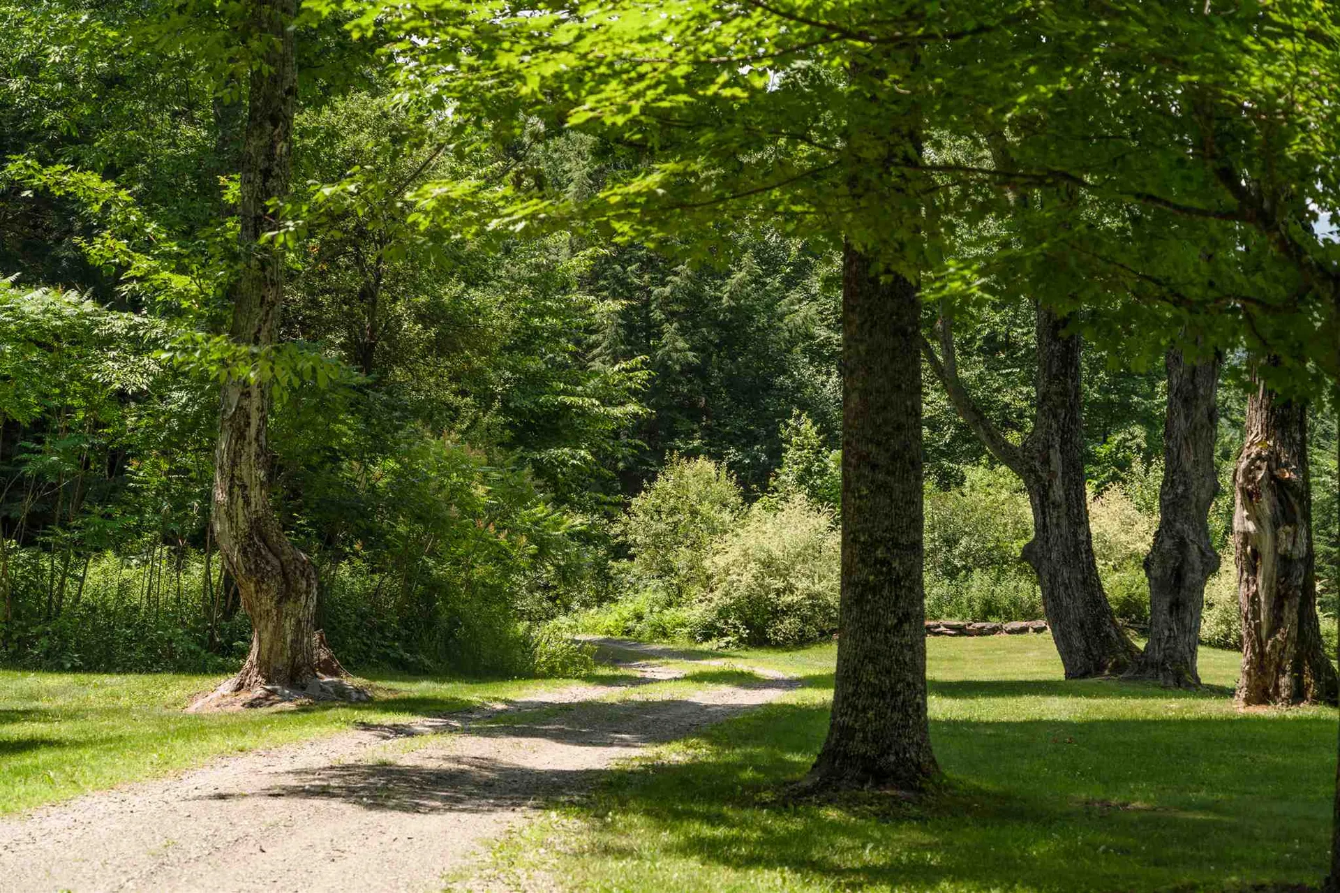 1240 Maggies Way Waterbury VT 05677