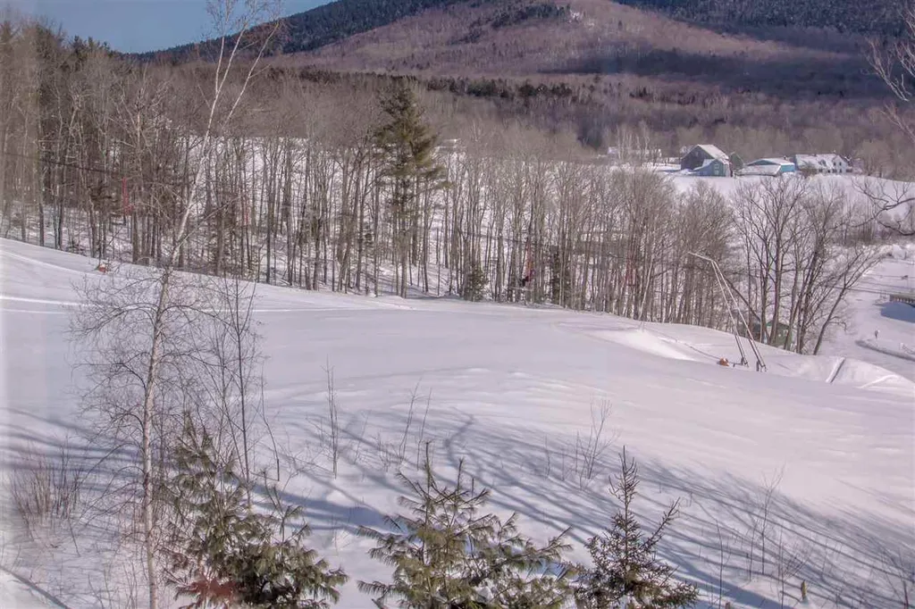 30 High Pasture West Road Jackson NH 03846-0455