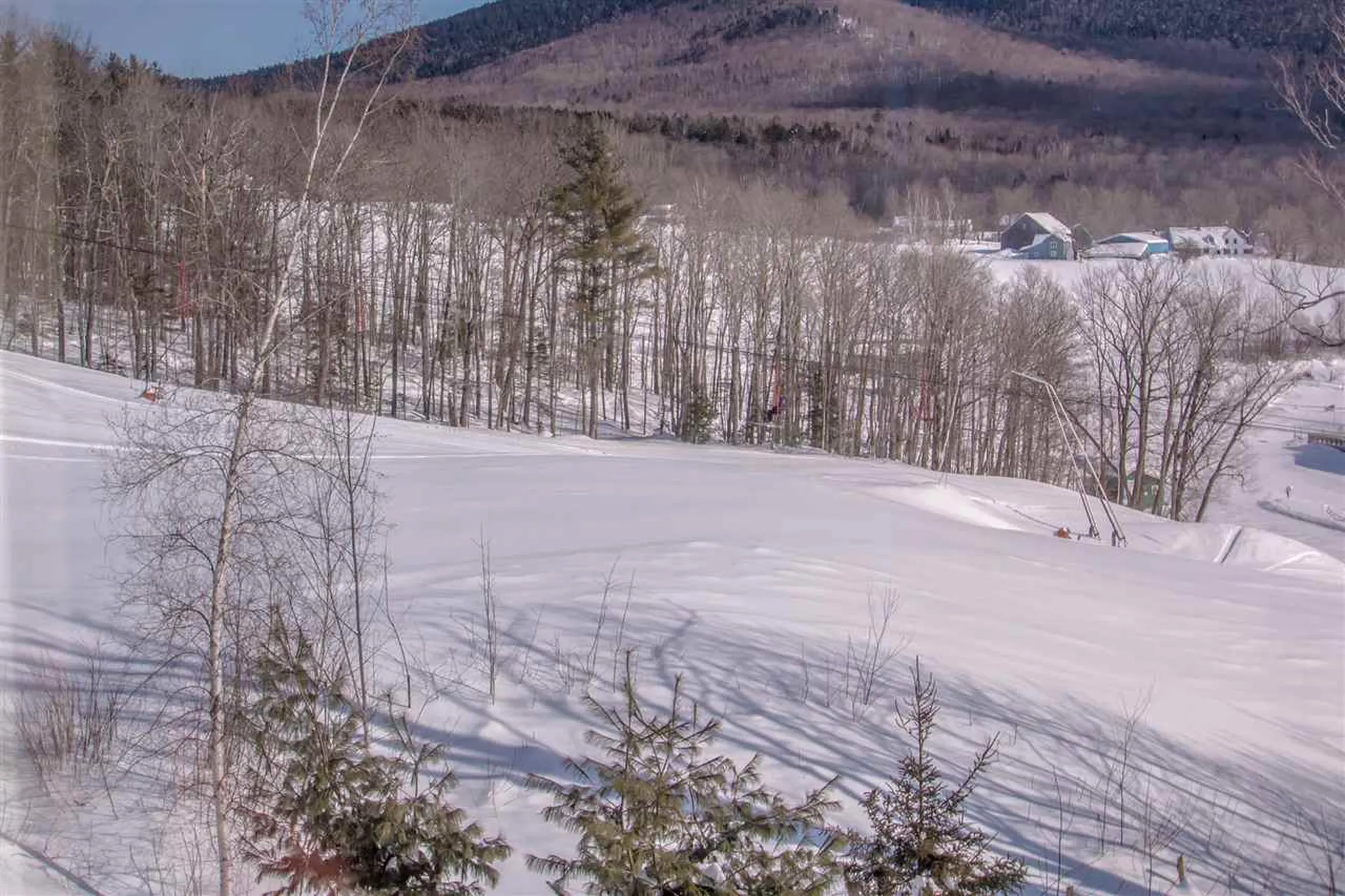 30 High Pasture West Road Jackson NH 03846-0455