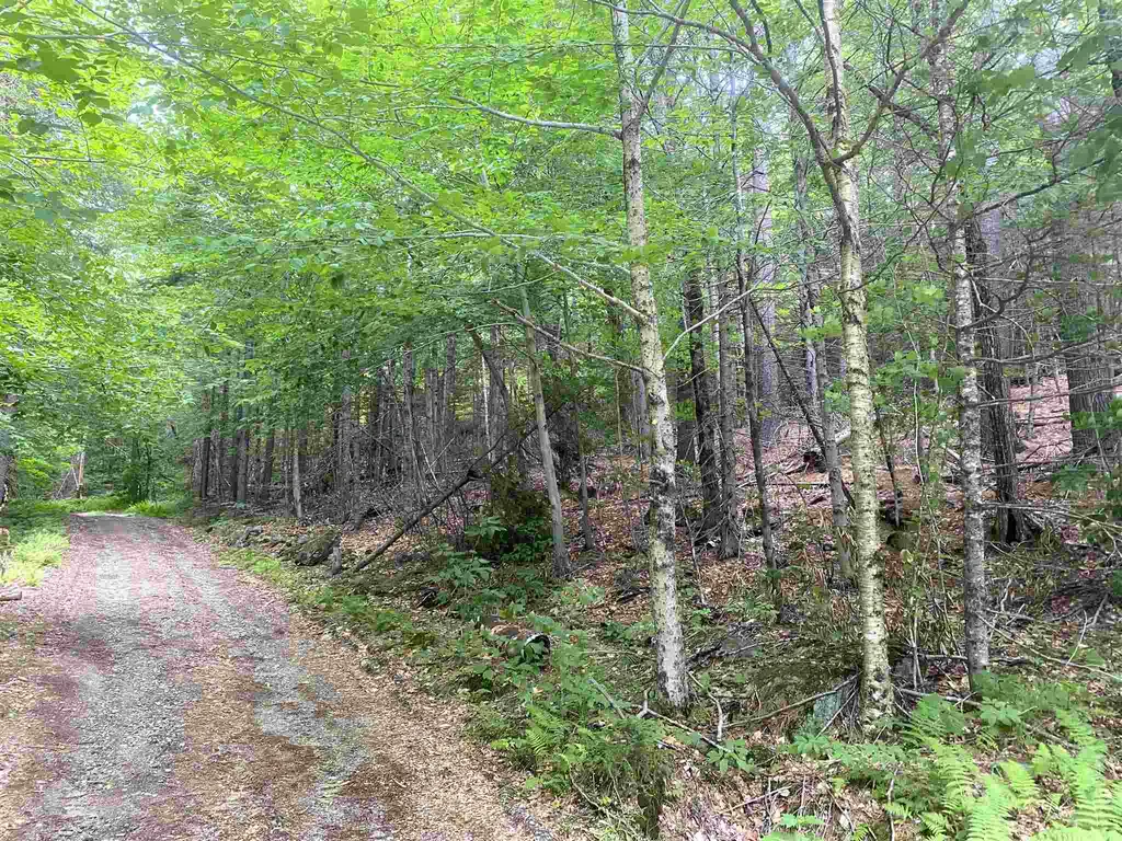 626 Kinsman Road Grafton NH 03240