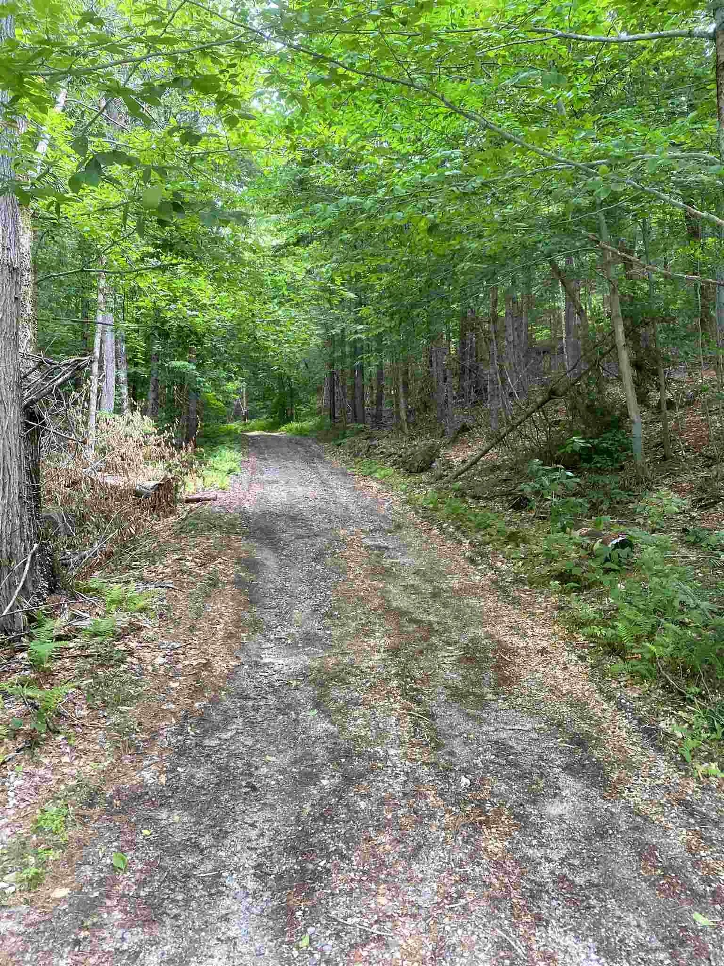 626 Kinsman Road Grafton NH 03240