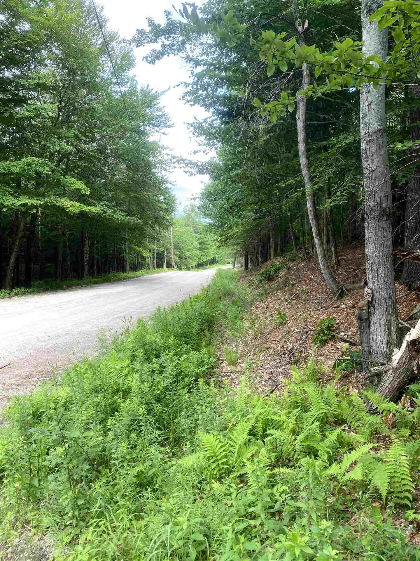 626 Kinsman Road Grafton NH 03240