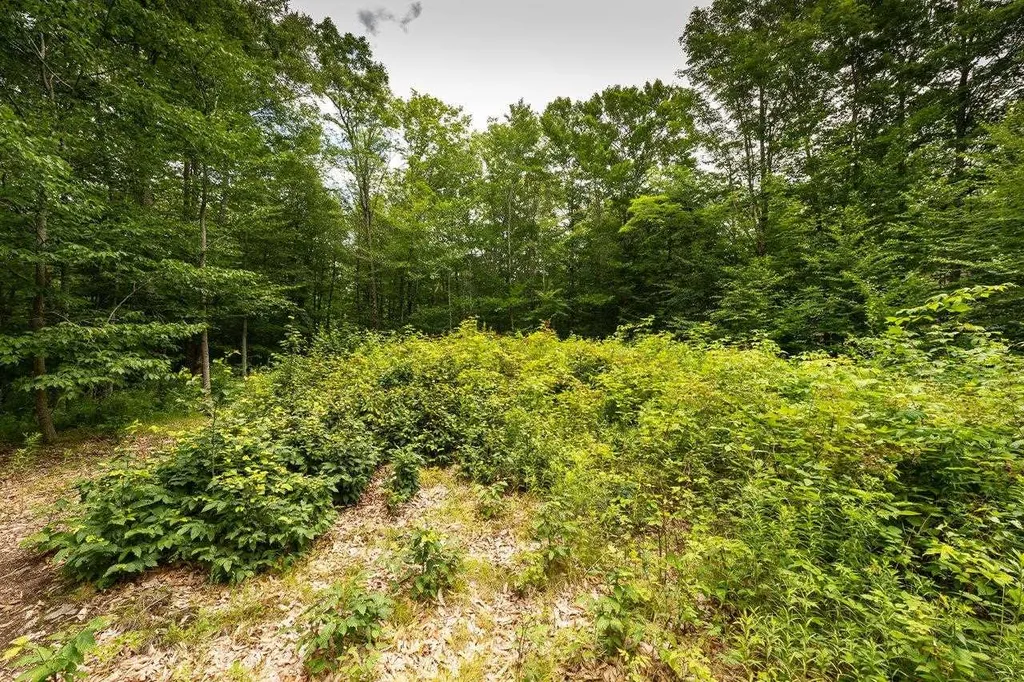 14 Jefferson Lane Kittery ME 03904