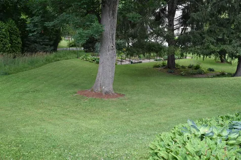 6 Springside Road Middlebury VT 05753