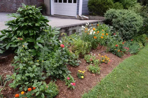 6 Springside Road Middlebury VT 05753