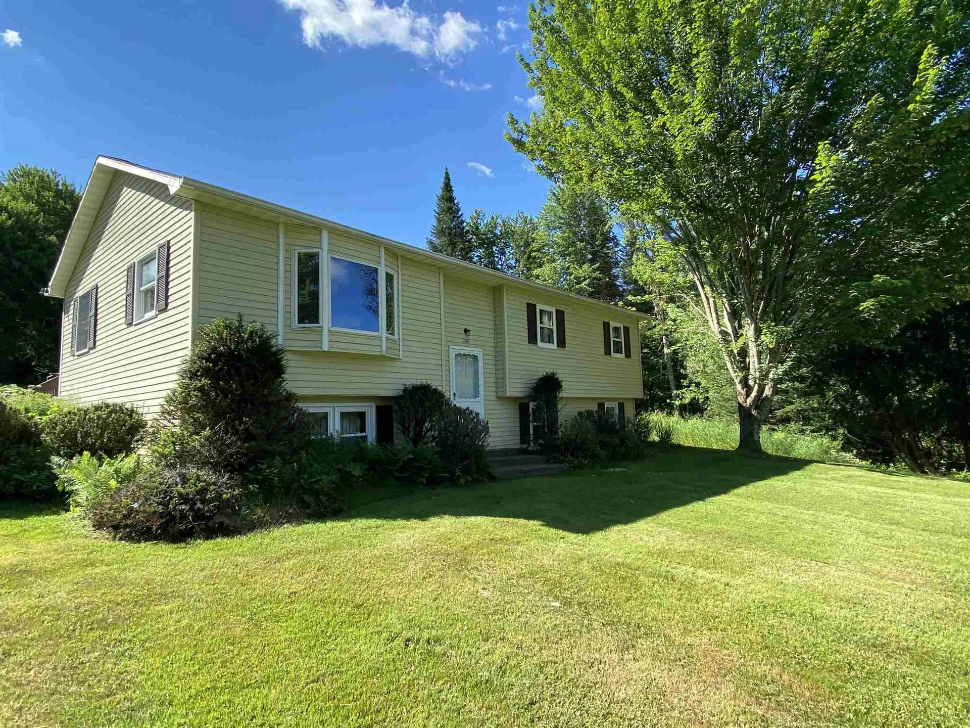 246 Brook Road Hyde Park VT 05655
