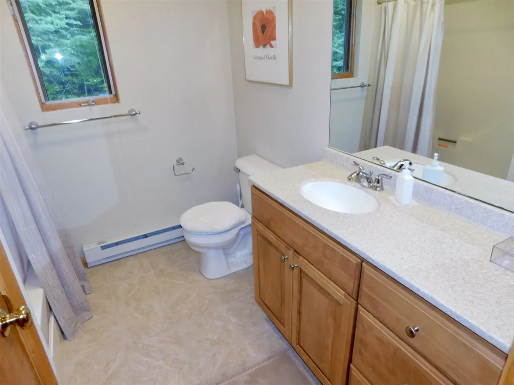 1 Trillium Lane Grantham NH 03753