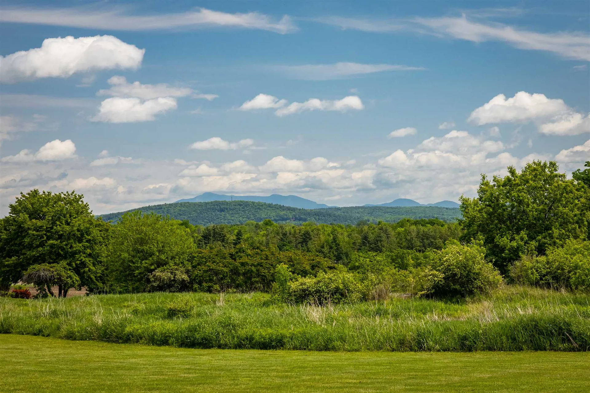 6529 Spear Street Shelburne VT 05482
