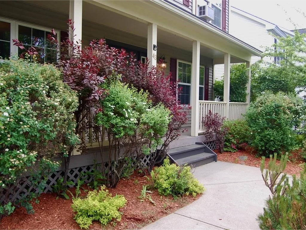 43 Bower Street South Burlington VT 05403