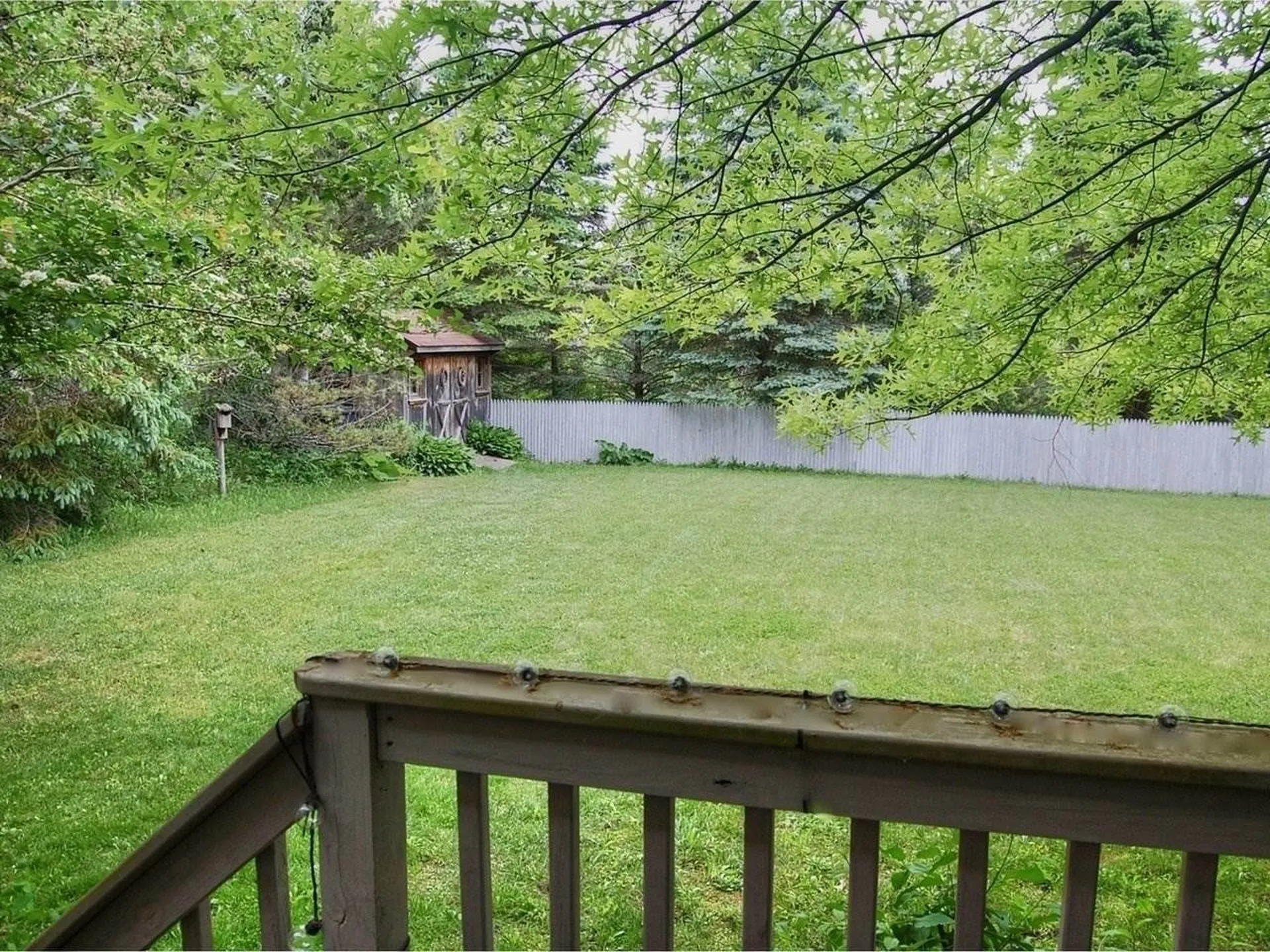 43 Bower Street South Burlington VT 05403