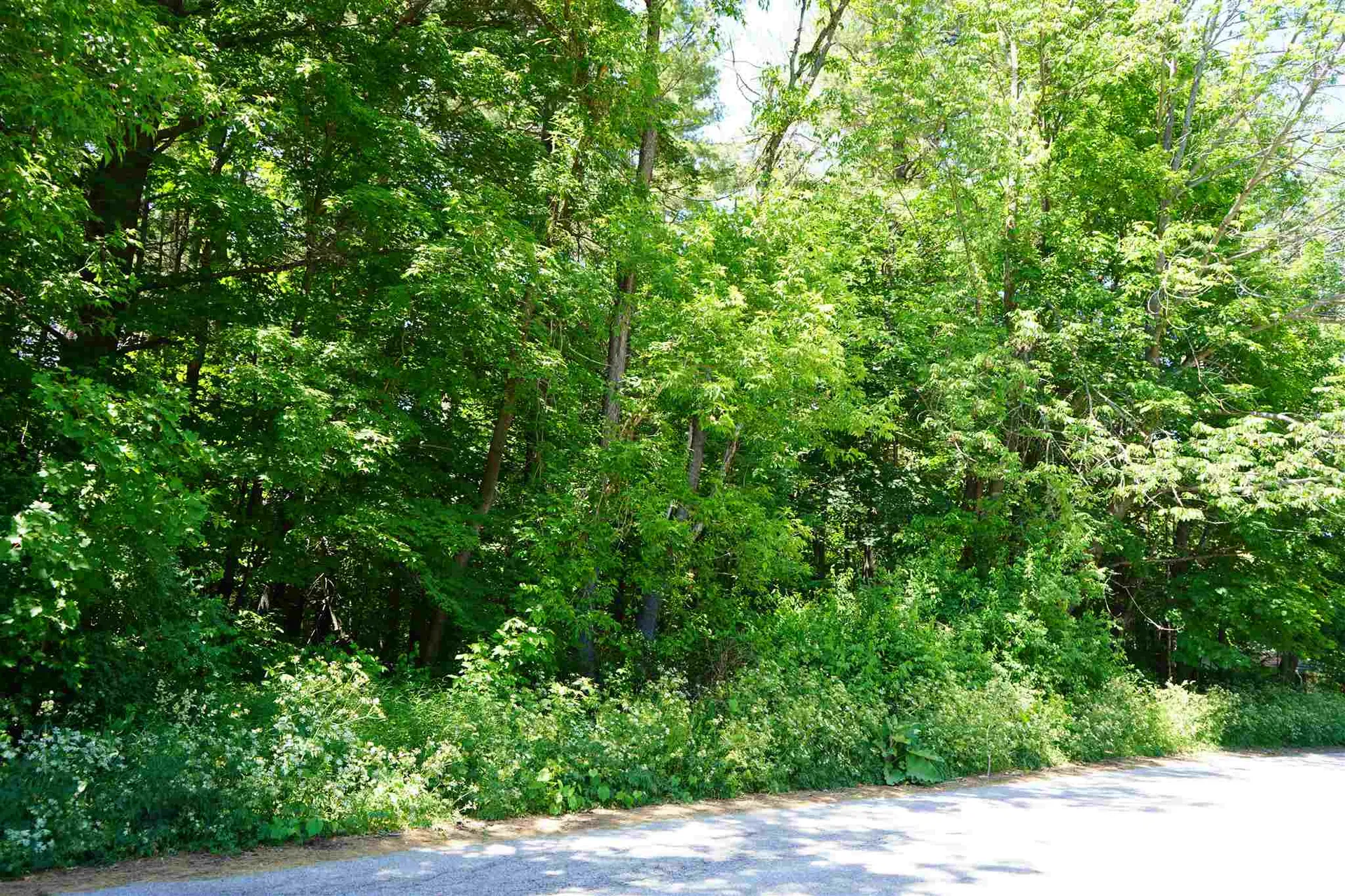 0 Woodland Drive Barre City VT 05641