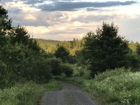 691 Cemetery Street Brookfield VT 05036
