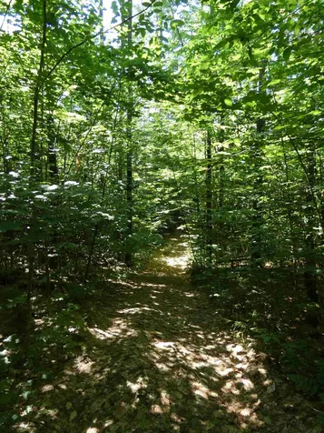 691 Cemetery Street Brookfield VT 05036