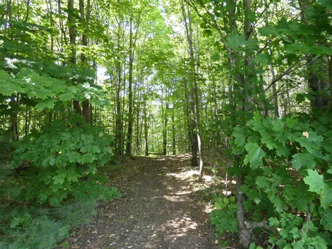 691 Cemetery Street Brookfield VT 05036