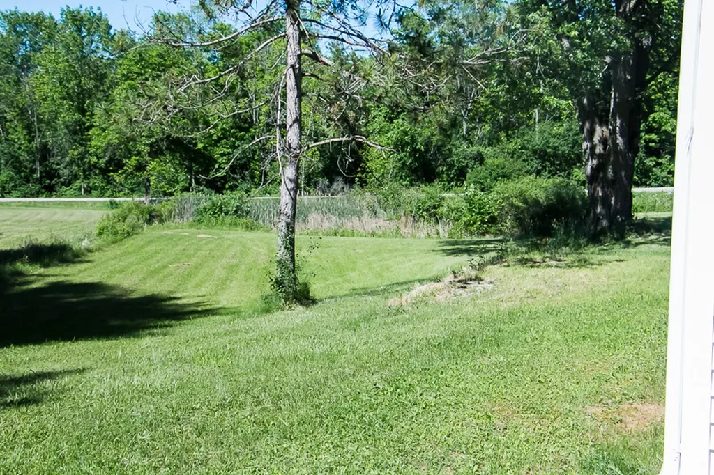 75 Morgan Horse Farm Road Weybridge VT 05753