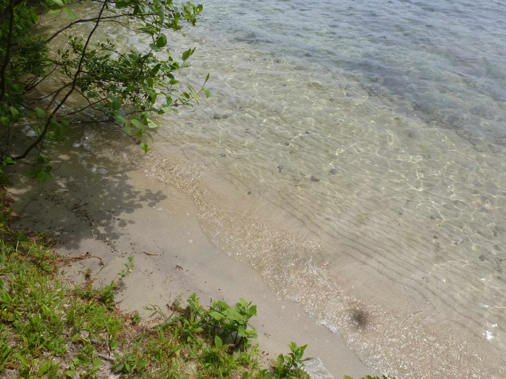 243 Eagle Shore Road Moultonborough NH 03254