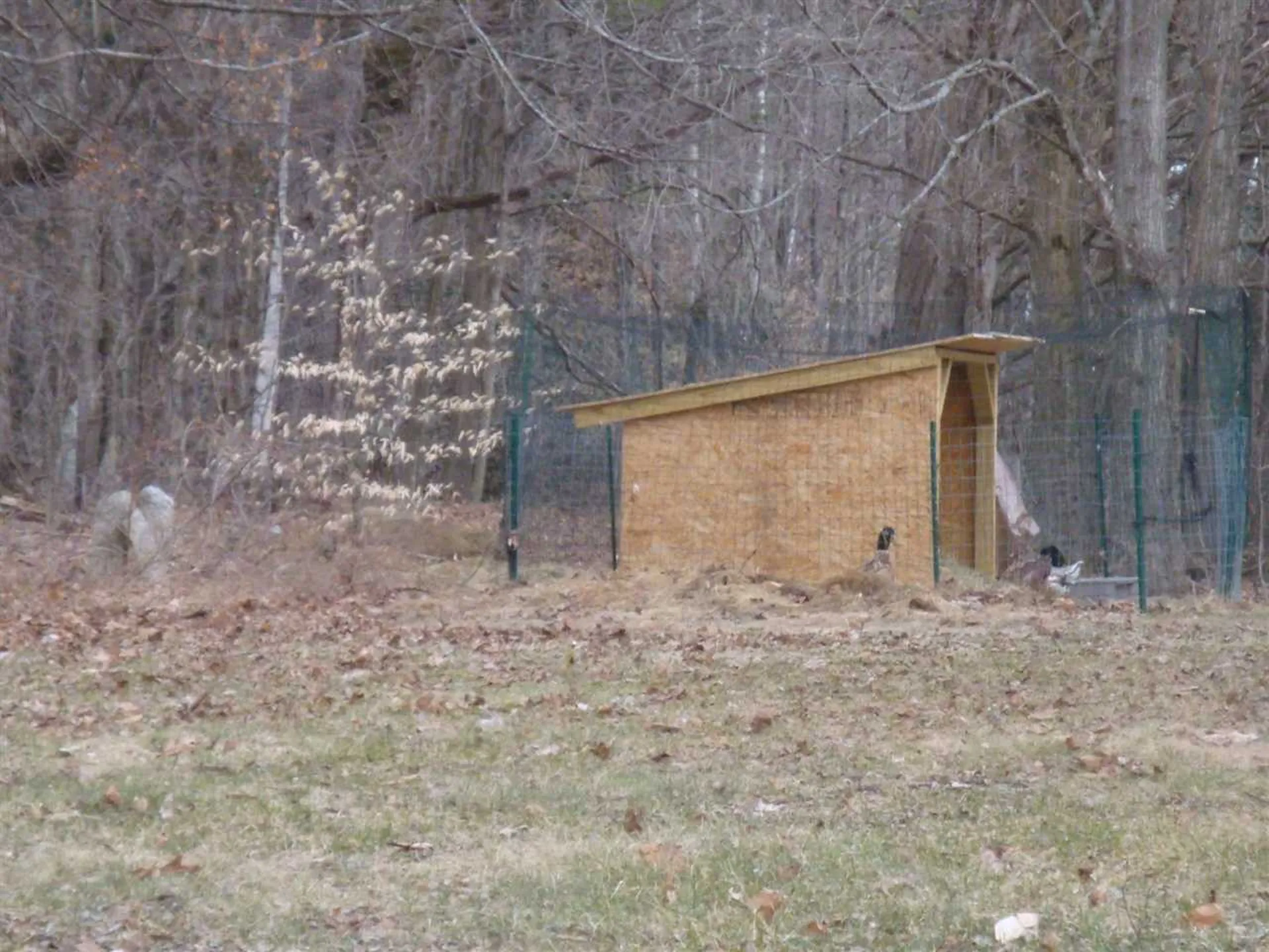 91 River Road Orford NH 03777