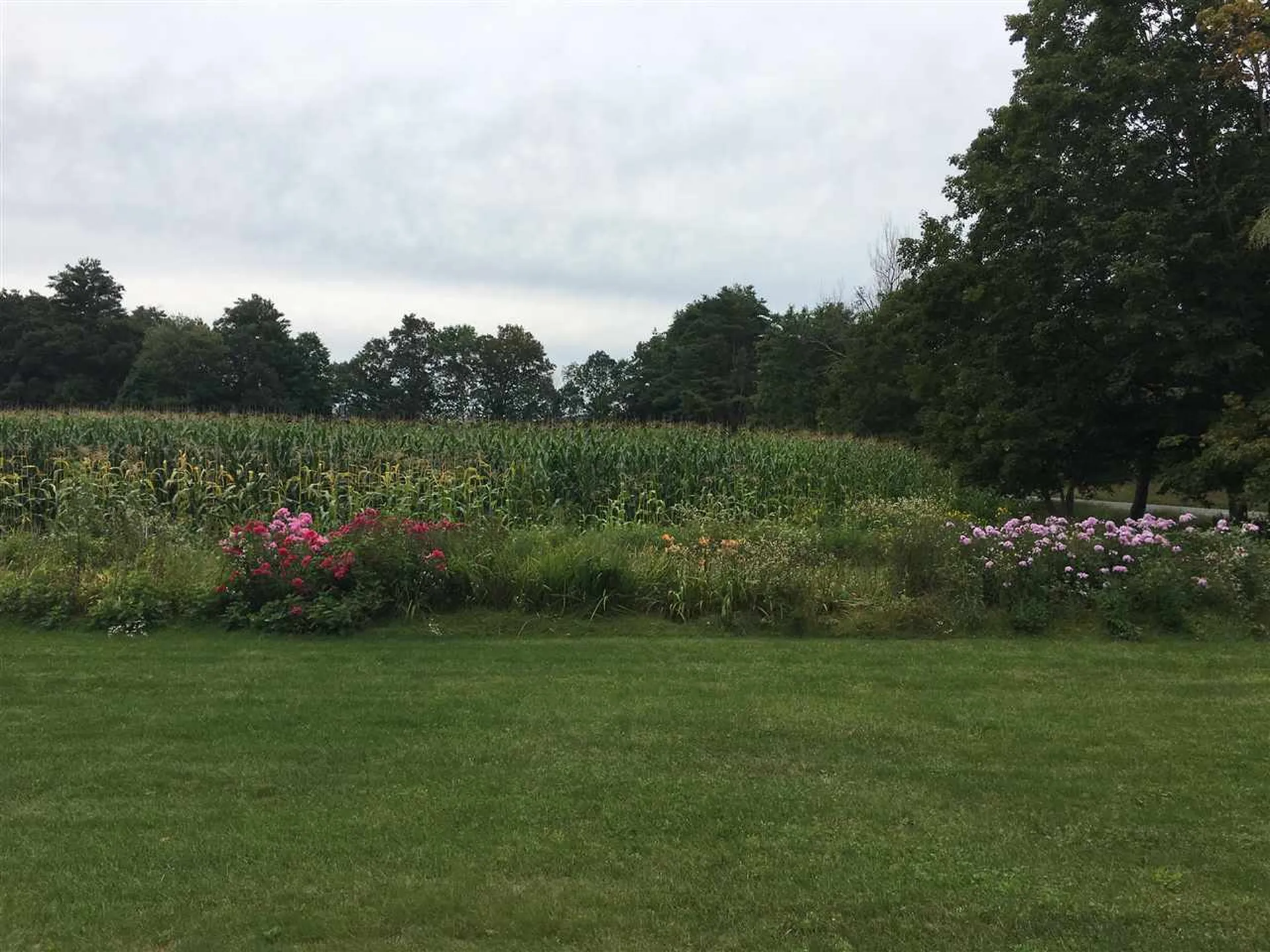 91 River Road Orford NH 03777