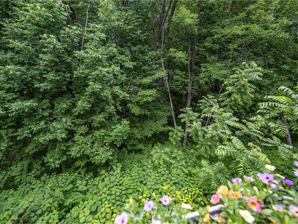 87 Williams Road Colchester VT 05446