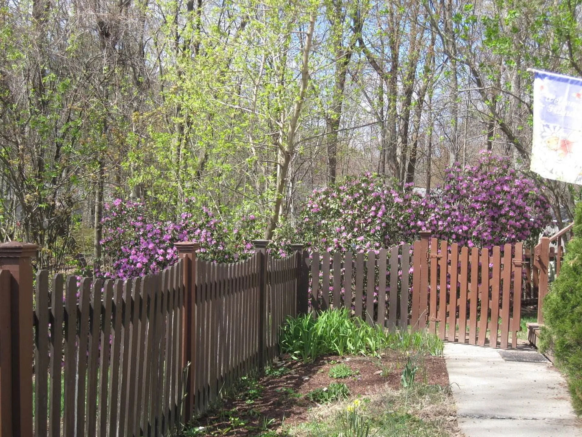 87 Williams Road Colchester VT 05446