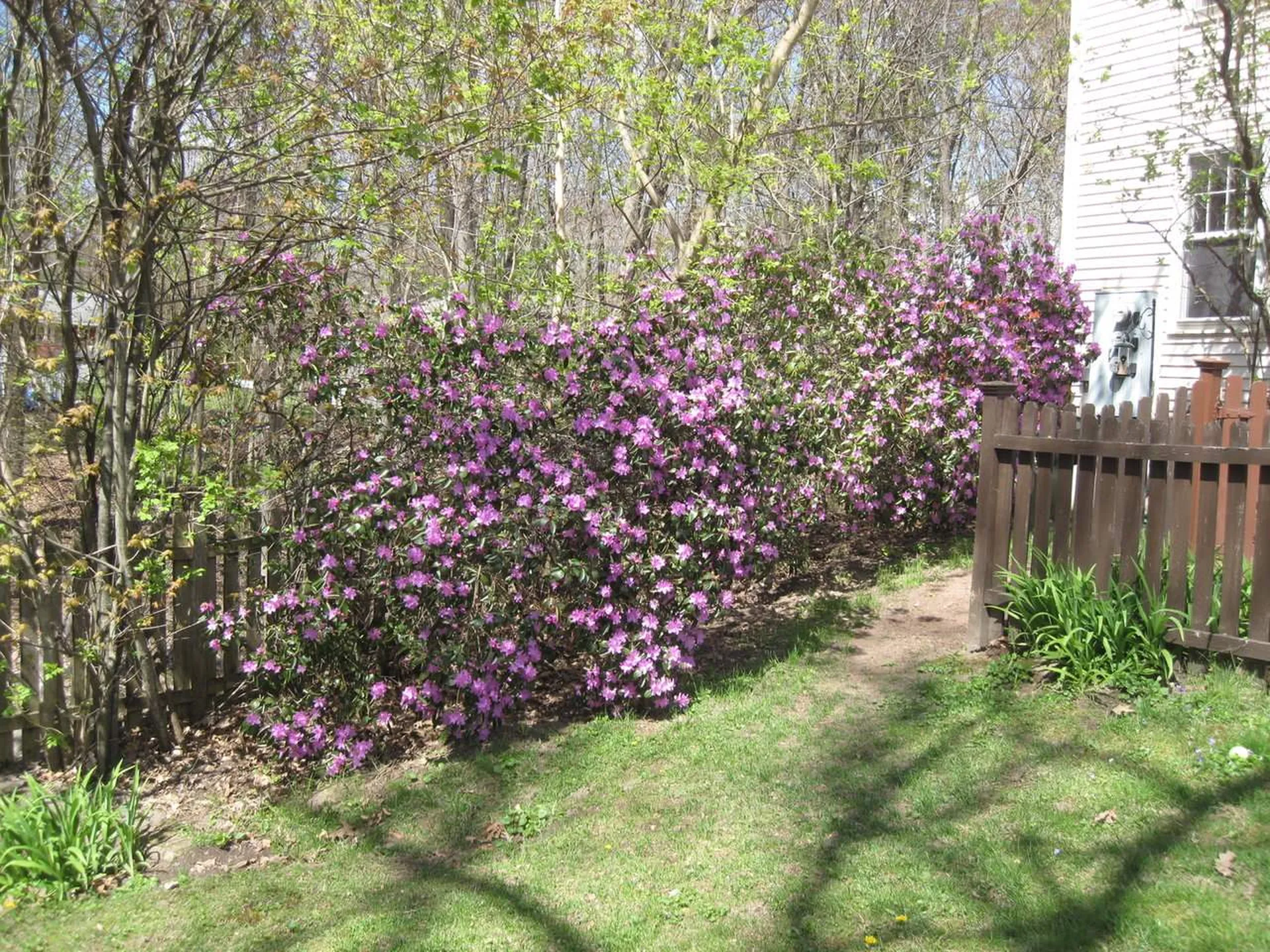 87 Williams Road Colchester VT 05446
