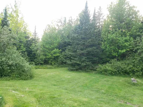 1250 Toad Pond Road Morgan VT 05853