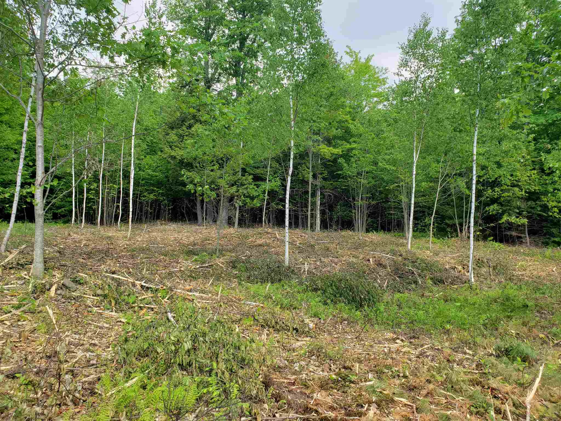 30 Norris Road Orford NH 03777