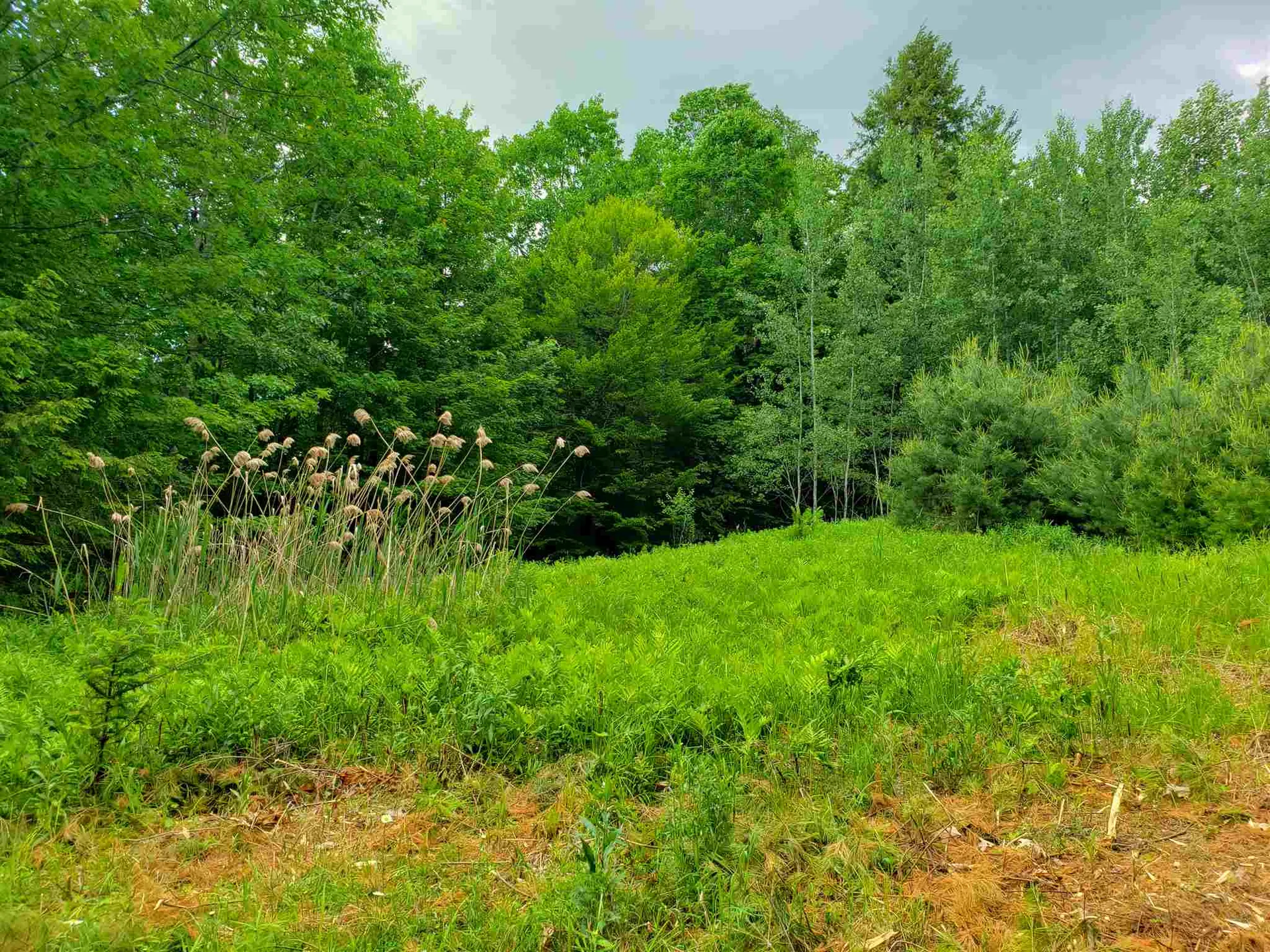 30 Norris Road Orford NH 03777