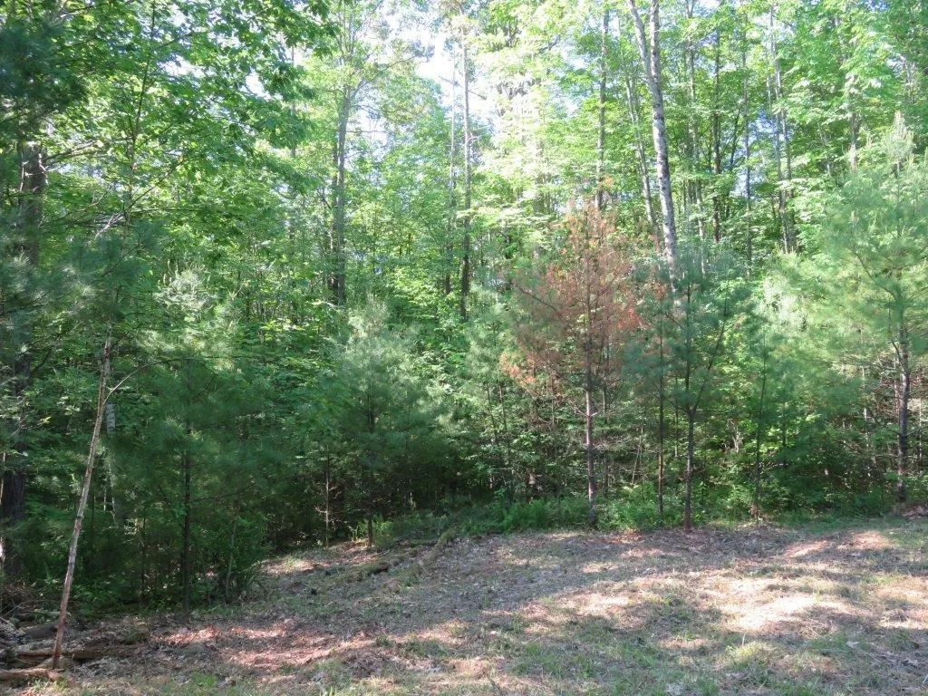 000 Fernwood Farms Road Canaan NH 03741