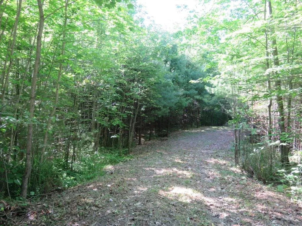 000 Fernwood Farms Road Canaan NH 03741