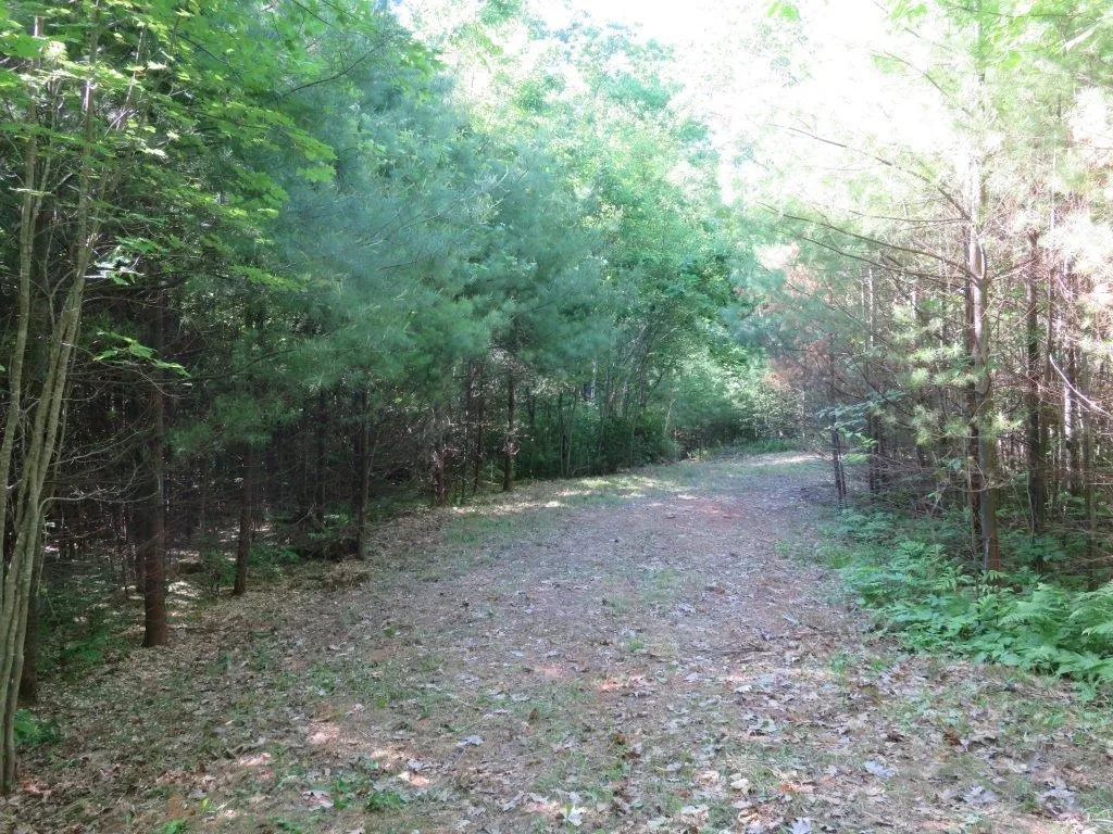 000 Fernwood Farms Road Canaan NH 03741