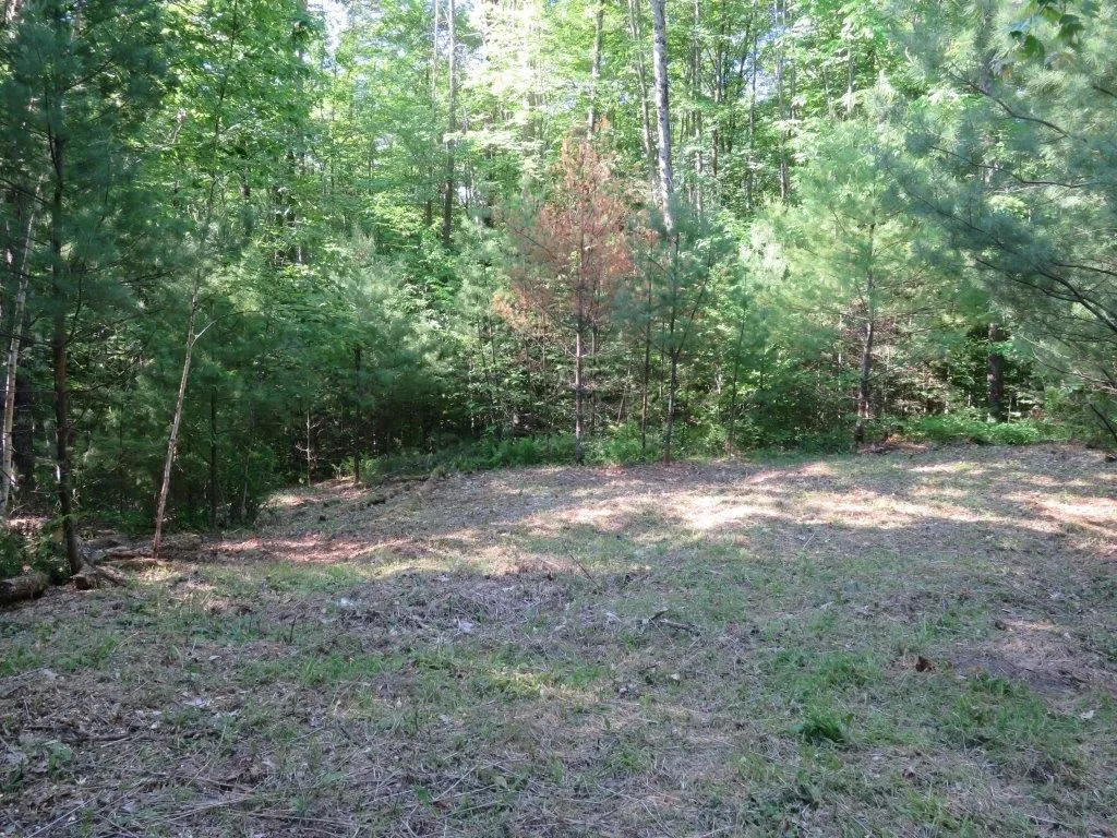 000 Fernwood Farms Road Canaan NH 03741