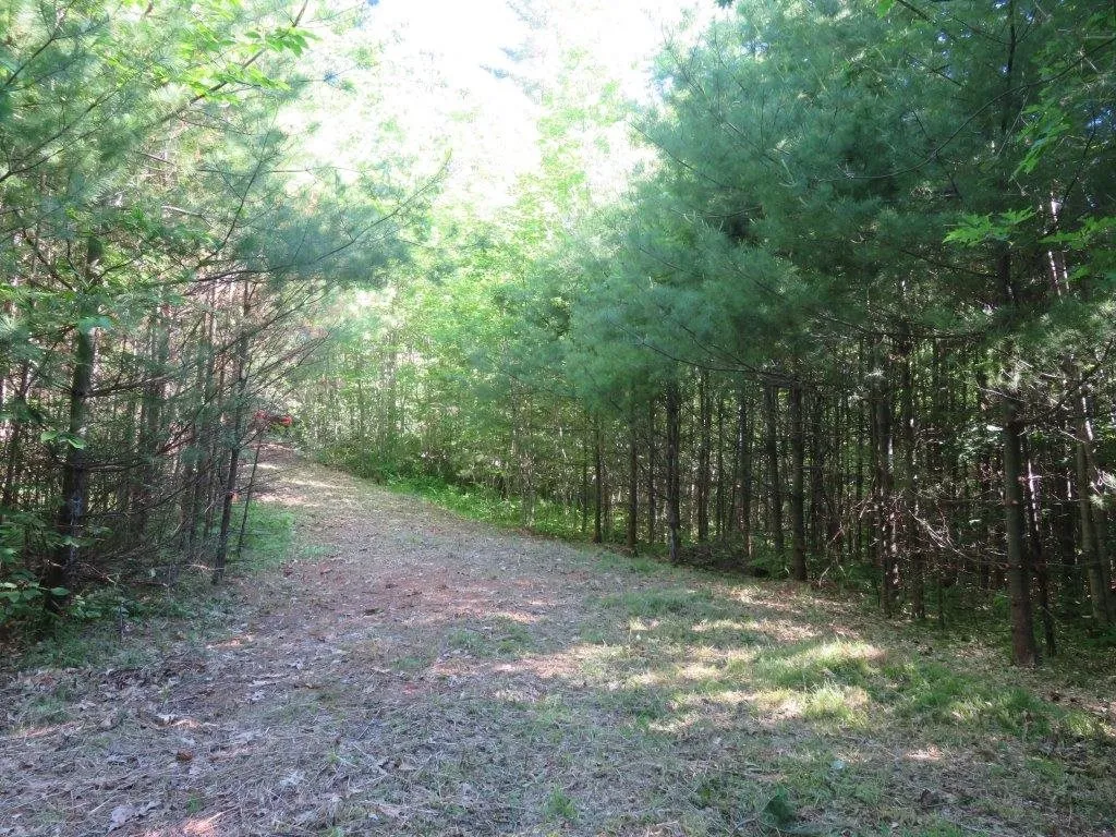 000 Fernwood Farms Road Canaan NH 03741