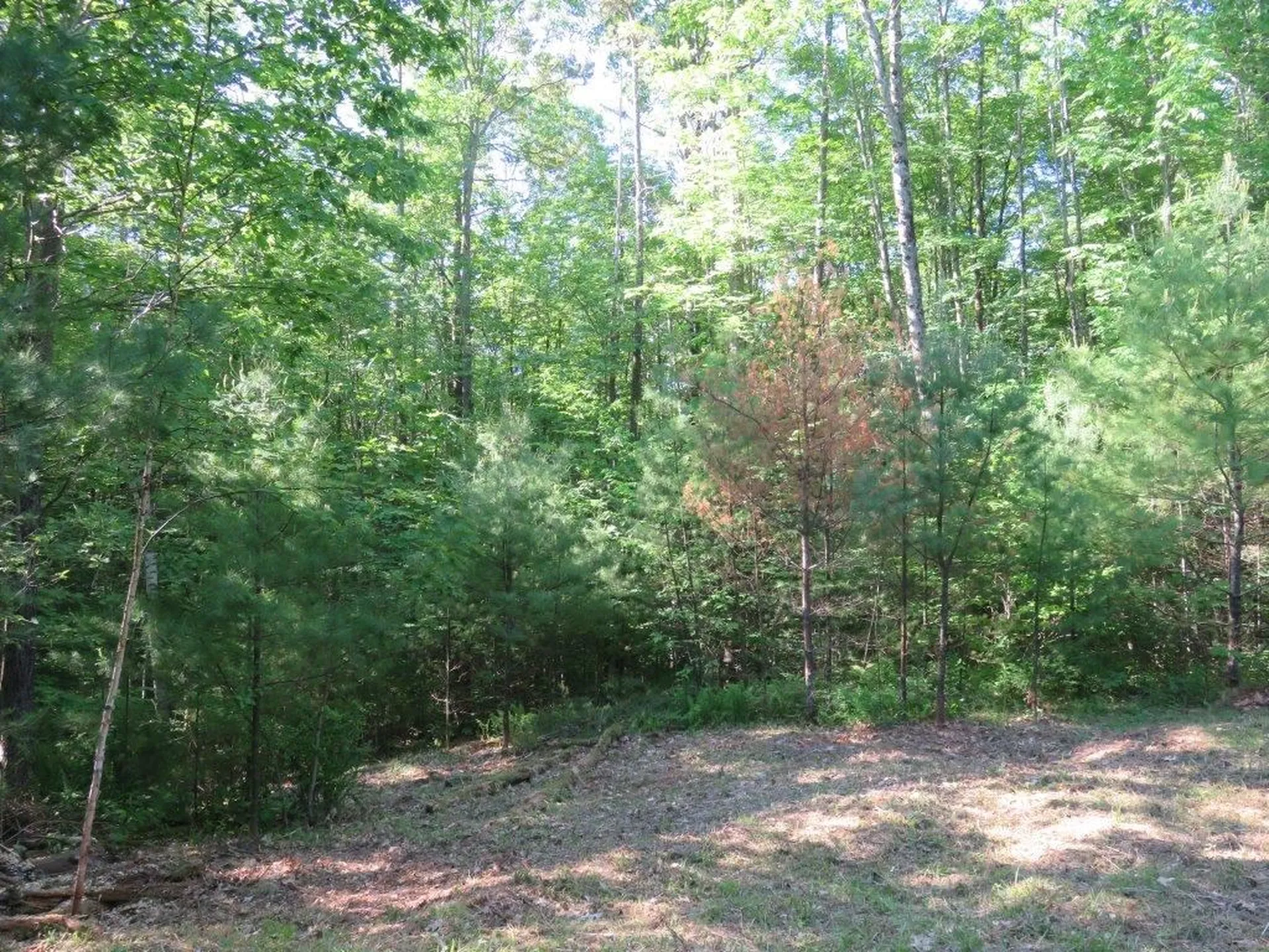 000 Fernwood Farms Road Canaan NH 03741