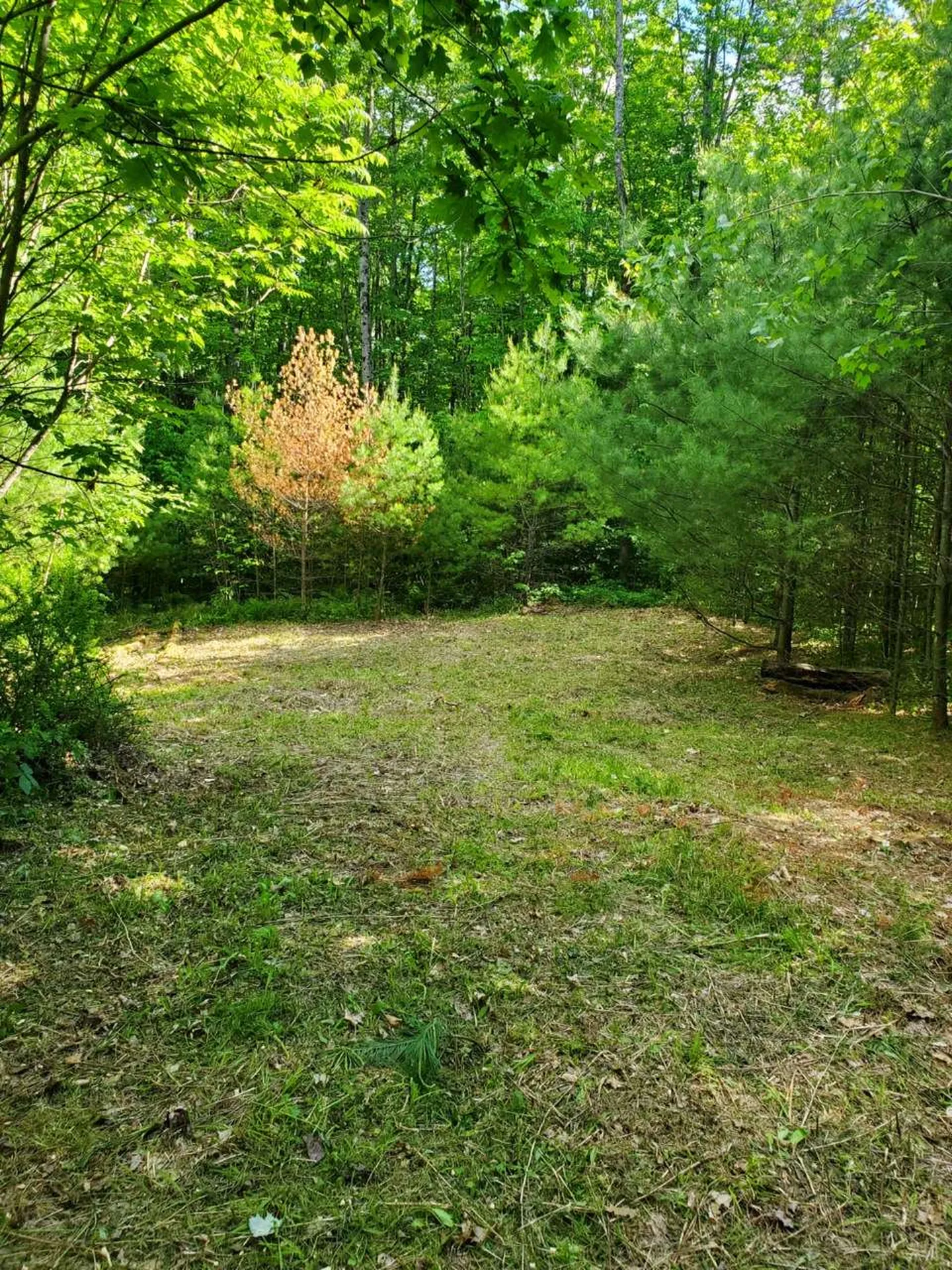000 Fernwood Farms Road Canaan NH 03741
