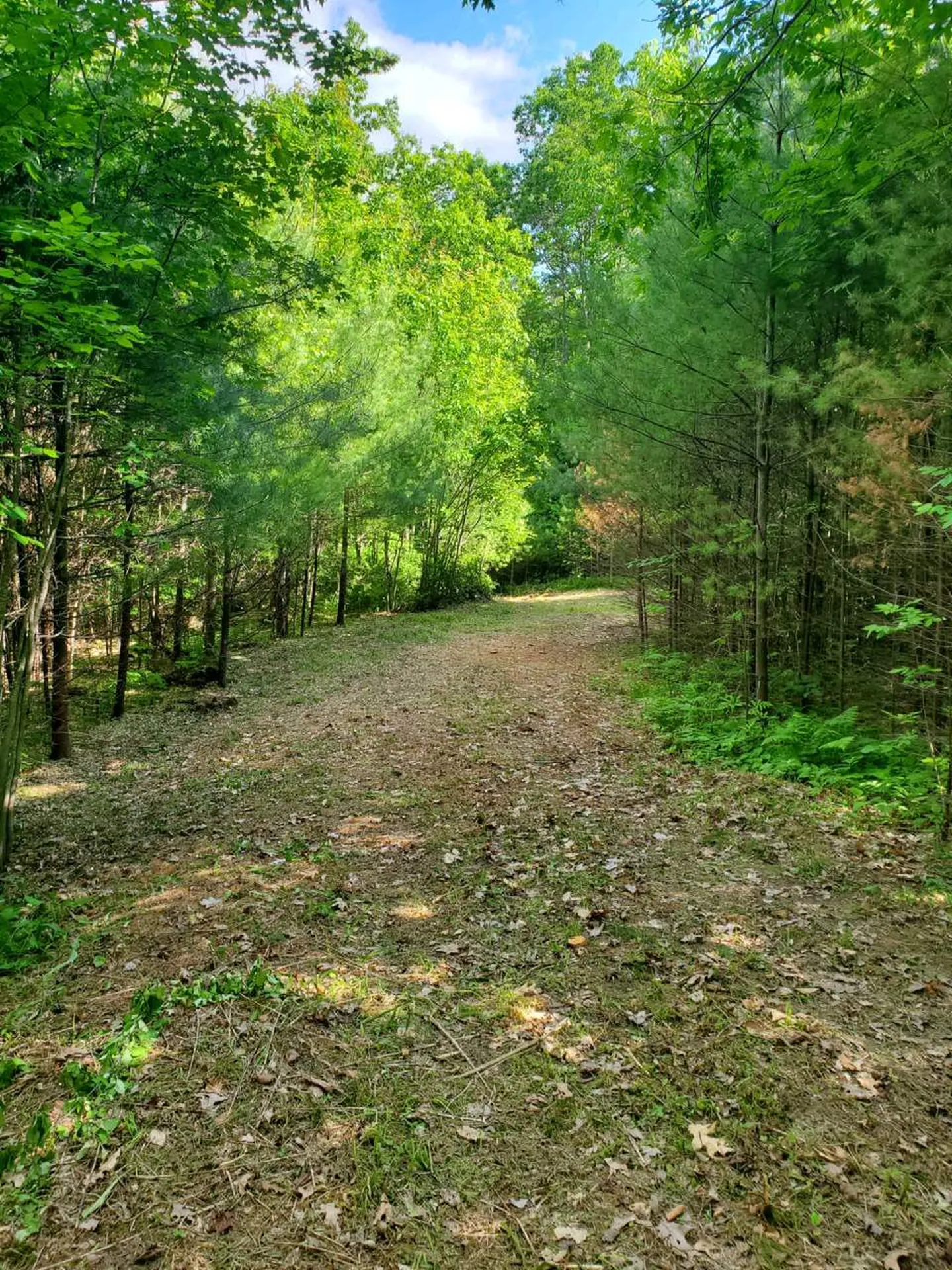 000 Fernwood Farms Road Canaan NH 03741