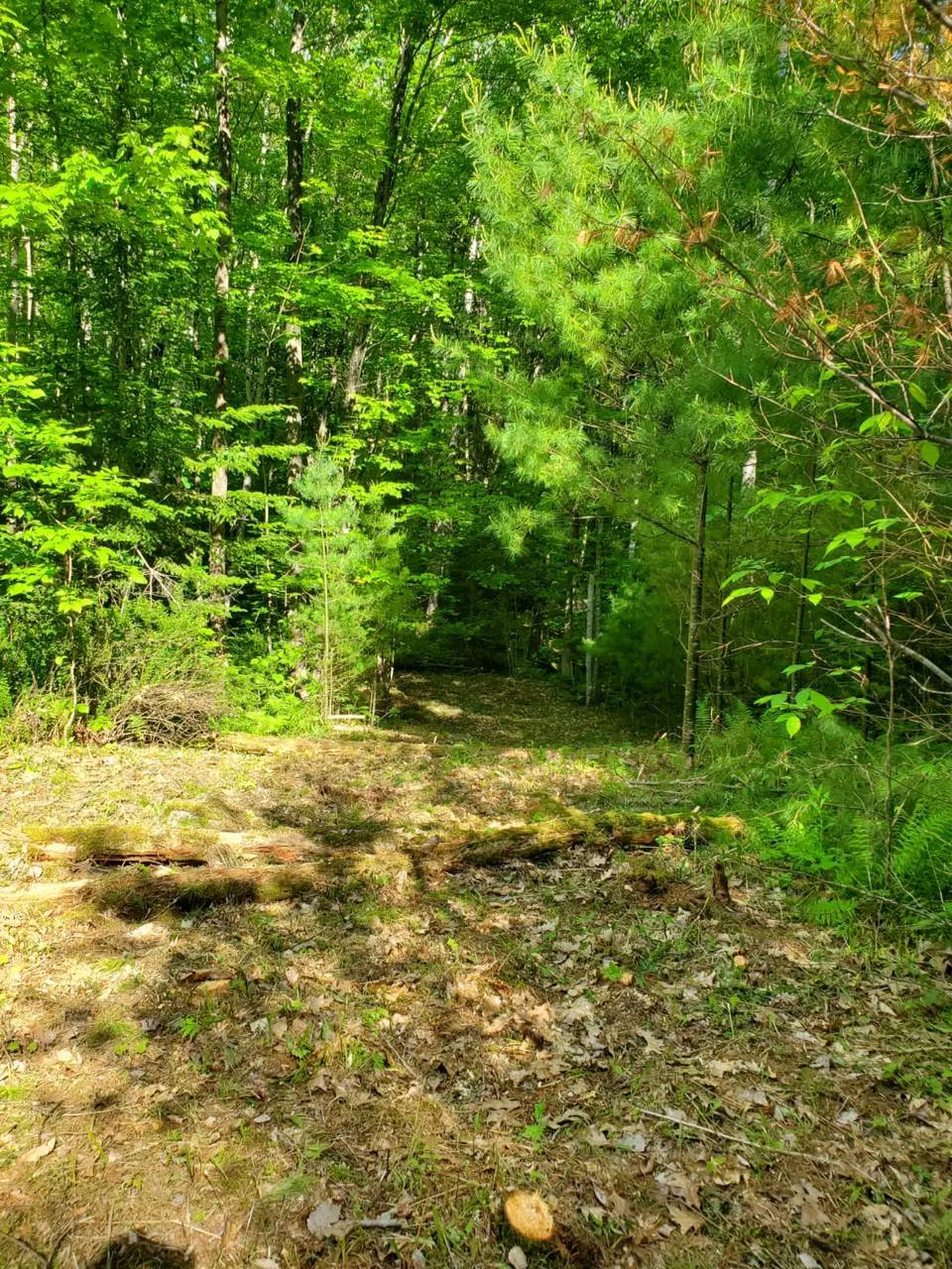 000 Fernwood Farms Road Canaan NH 03741