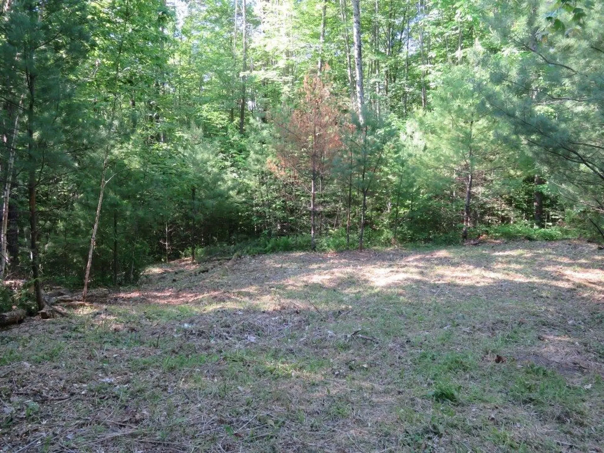 000 Fernwood Farms Road Canaan NH 03741