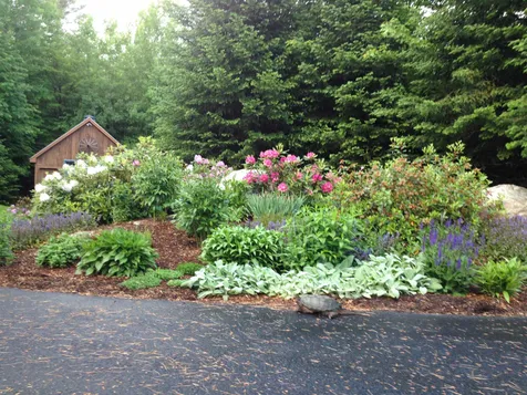 21 White Pine Lane New London NH 03257