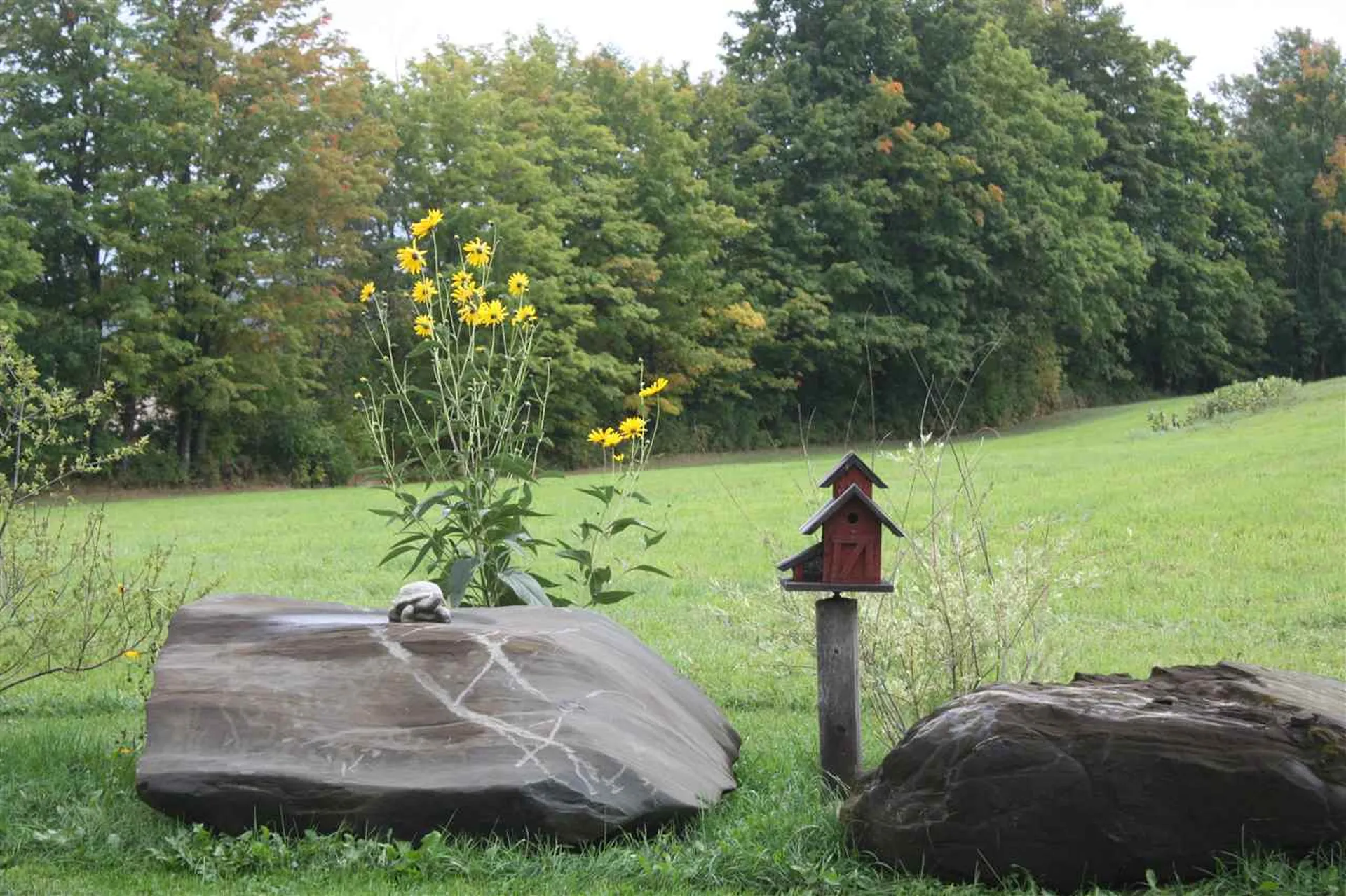 1096 Lake Region Road Irasburg VT 05845