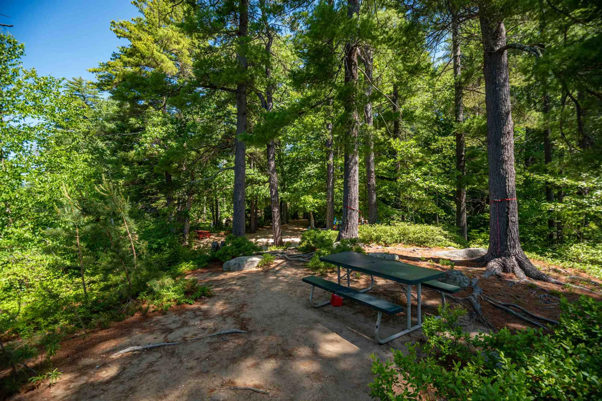 49 Edgewater Drive Barrington NH 03825