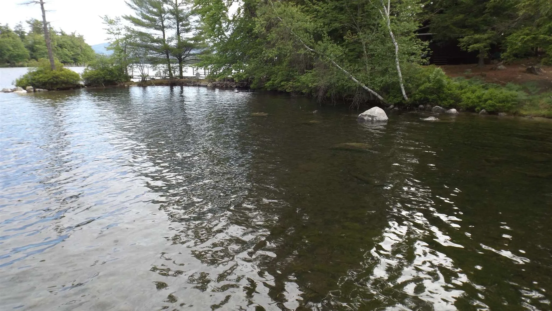 99 Bear Island Cove Meredith NH 03253