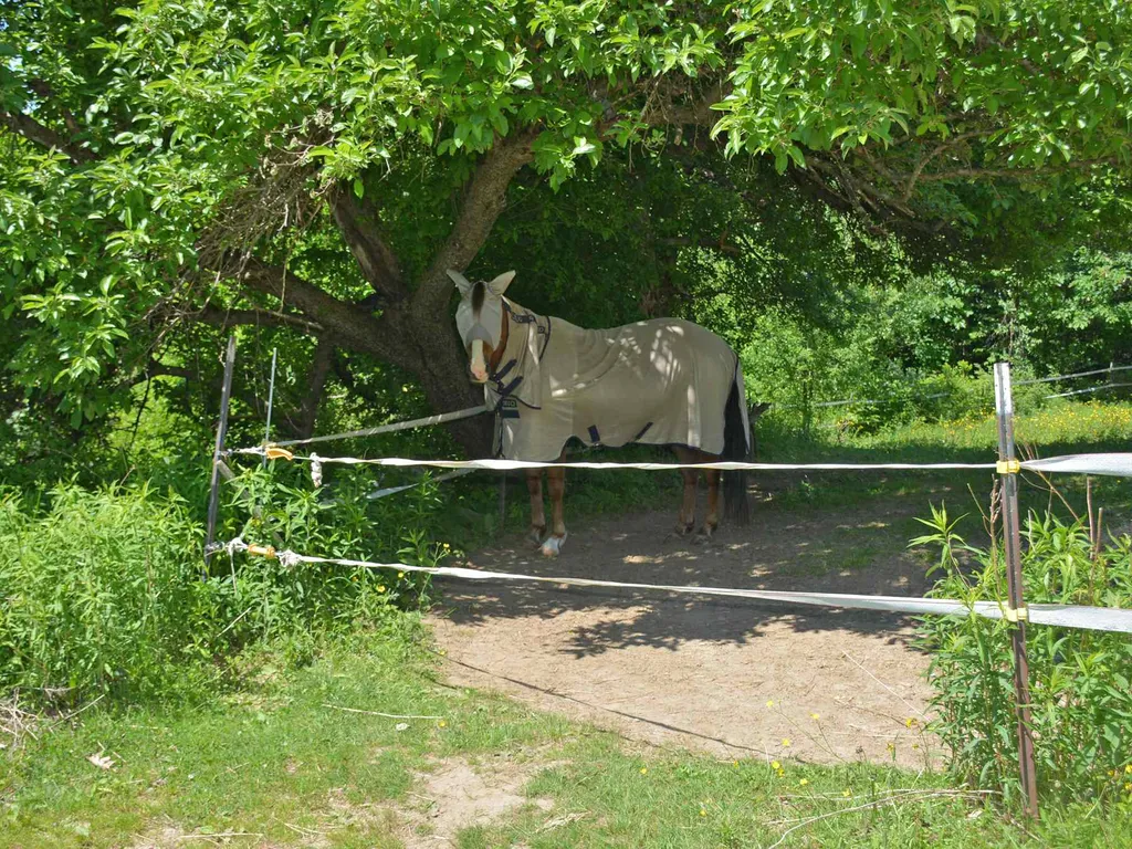 83 Cockleburr Farm Road Warren VT 05673