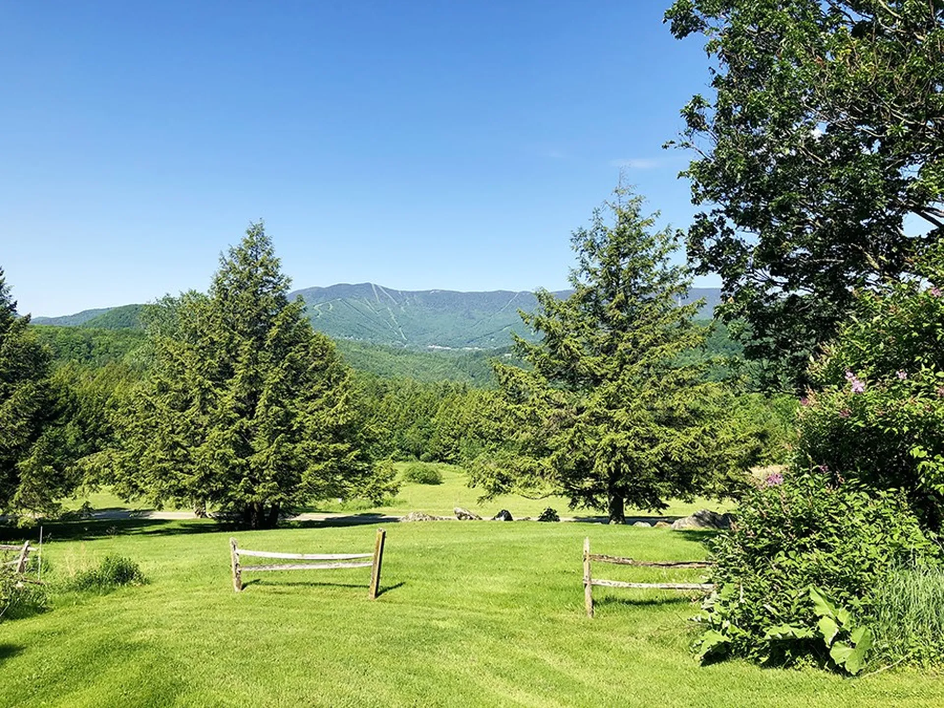 83 Cockleburr Farm Road Warren VT 05673