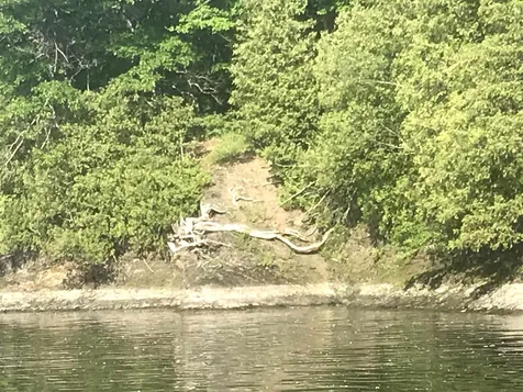 05-02-24 Butler Island West North Hero VT 05474