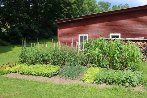1896 Brink Hill Road Bethel VT 05032