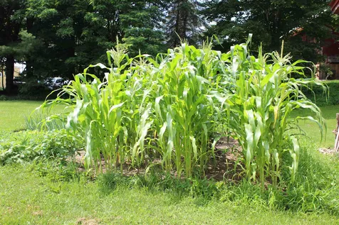 1896 Brink Hill Road Bethel VT 05032